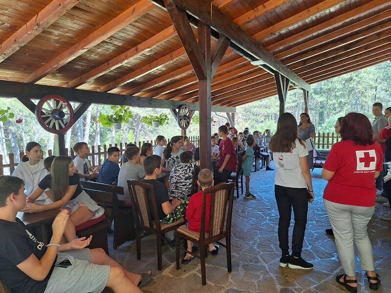 Divljana Deca Skola
